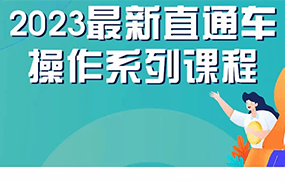 2023最新引力魔方系列课程，如何利用直通车去冲销量