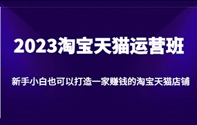 2023淘宝天猫运营班，新手小白也可以打造一家赚钱的淘宝天猫店铺