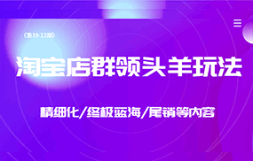 淘宝店群领头羊玩法，精细化/终极蓝海/尾销等内容