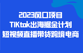 2023风口项目TIKtok出海掘金计划短视频直播带货跨境电商