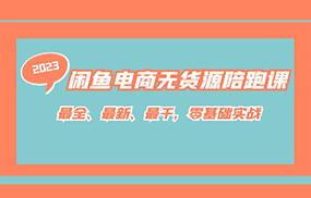 闲鱼电商无货源陪跑课，最全、最新、最干，零基础实战