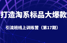 打造淘系标品大爆款引流班线上训练营（第17期）5天直播授课+1个月答疑