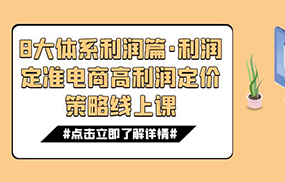 8大体系利润篇·利润定准电商高利润定价策略线上课