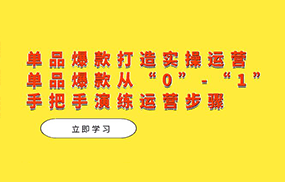 单品爆款打造实操运营，单品爆款从“0”-“1”手把手演练运营步骤