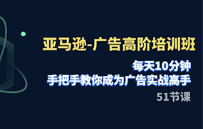 亚马逊-广告高阶培训班，每天10分钟，手把手教你成为广告实战高手