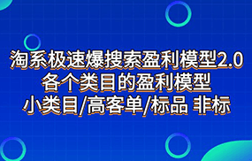 淘系极速爆搜索盈利模型2.0，各个类目的盈利模型，小类目/高客单/标品 非标