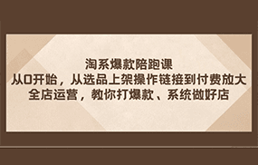 淘系爆款陪跑课 从选品上架操作链接到付费放大 全店运营 打爆款 系统做好店