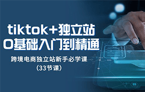 Tiktok+独立站从0基础入门到精通，跨境电商独立站新手必学课