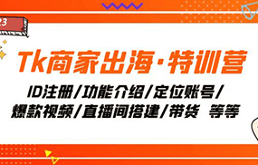 Tk商家出海·特训营：ID注册/功能介绍/定位账号/爆款视频/直播间搭建/带货