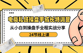 电商私域操盘手成长特训营：从小白到操盘手全程实战分享-24节线上课