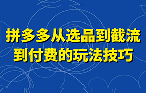 拼多多从选品到截流到付费的玩法技巧，助你掌握截流自然流量，高投产，强付费快速启动