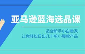 亚马逊蓝海选品课：适合新手小白卖家，让你轻松日出几十单小爆款产品