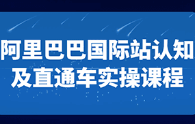 阿里巴巴国际站认知及直通车实操课-国际地产逻辑、国际站运营定位、TOP商家运营思路