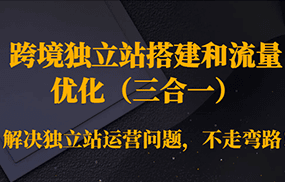 跨境独立站搭建和流量优化（三合一）解决独立站运营问题，不走弯路！