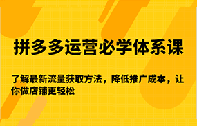 拼多多运营必学体系课-了解最新流量获取方法，降低推广成本，让你做店铺更轻松