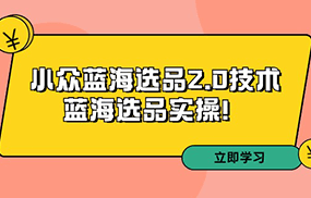 拼多多培训第33期：小众蓝海选品2.0技术-蓝海选品实操