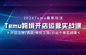 2024Temu跨境开店运营实战课，开店注册/选品/核价上架/日出千单实战课