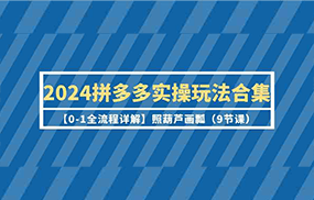 2024拼多多实操玩法合集【0-1全流程详解】照葫芦画瓢