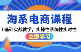 淘系电商课程，0基础实战教学，实操性系统性实时性