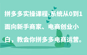 拼多多实操课程：系统从0到1，面向新手商家、电商创业小白，教会你拼多多电商运营。