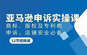 亚马逊申诉实战课，商标、版权及专利的申诉，店铺安全必备